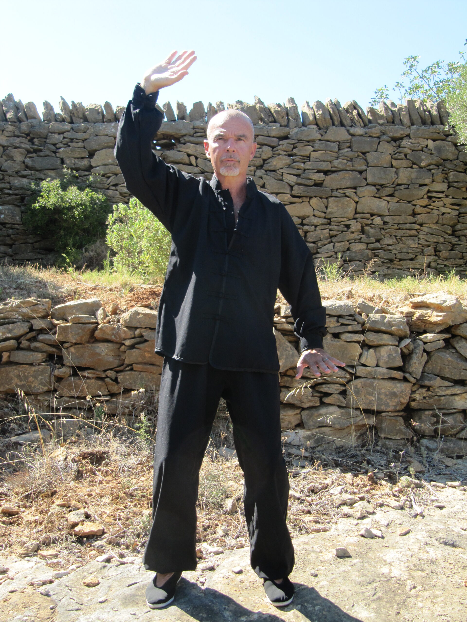 posture qi gong